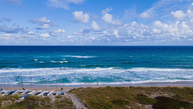 water view with a view of the beach