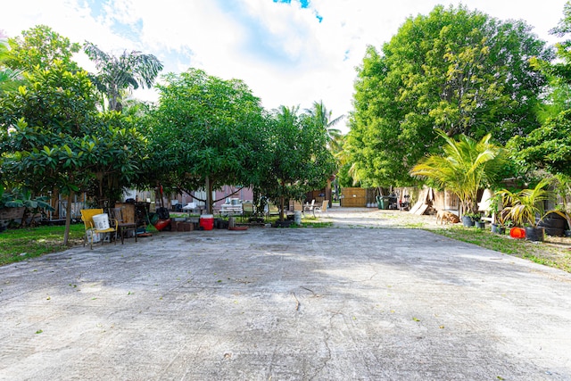 view of street featuring driveway