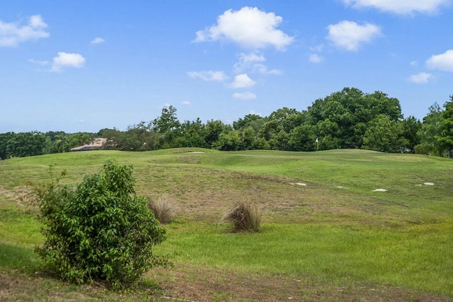 view of local wilderness