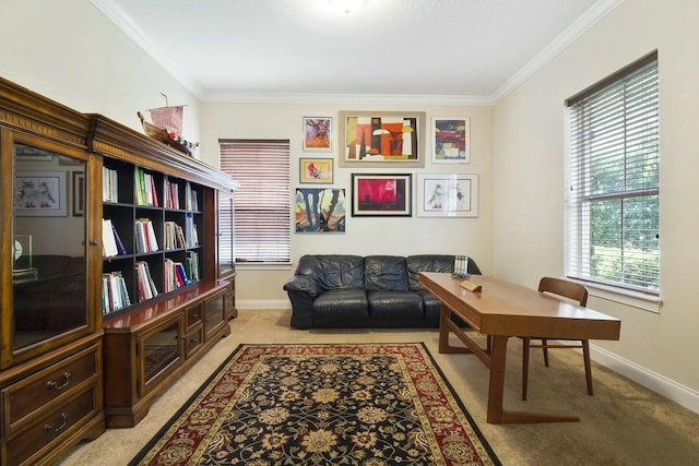 living area featuring ornamental molding, baseboards, and light carpet