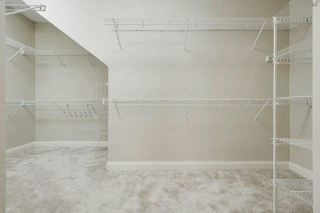 walk in closet featuring carpet flooring