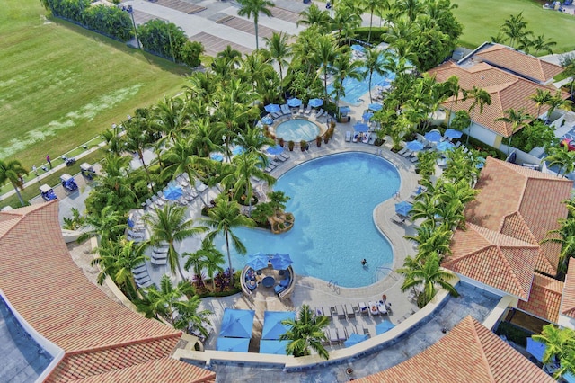 view of pool with a community hot tub