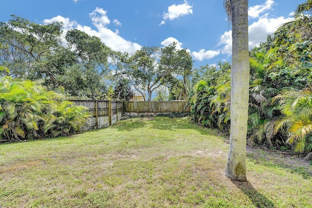 view of yard featuring a fenced backyard