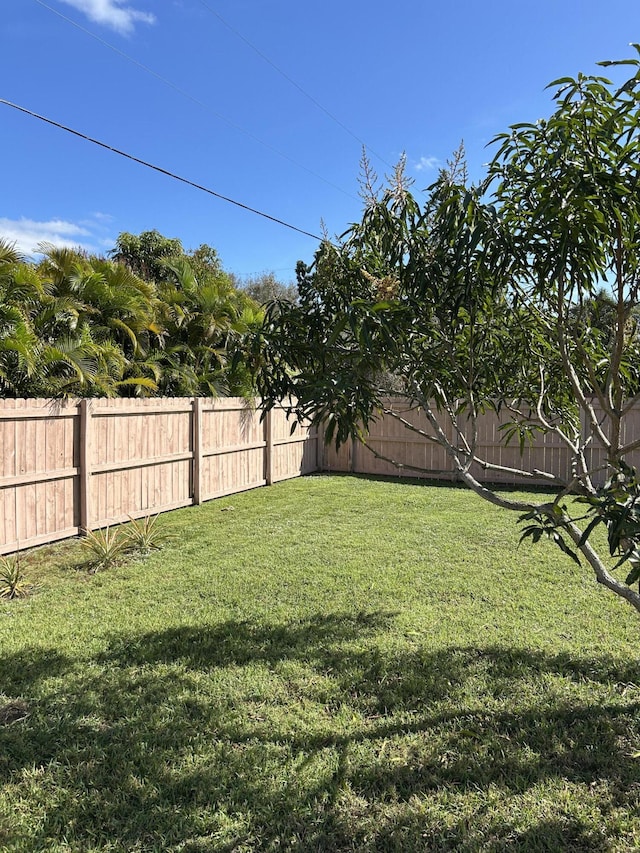 view of yard featuring a fenced backyard