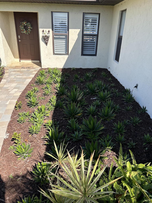 view of exterior entry featuring stucco siding