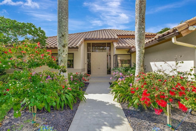 view of exterior entry with a tile roof and stucco siding