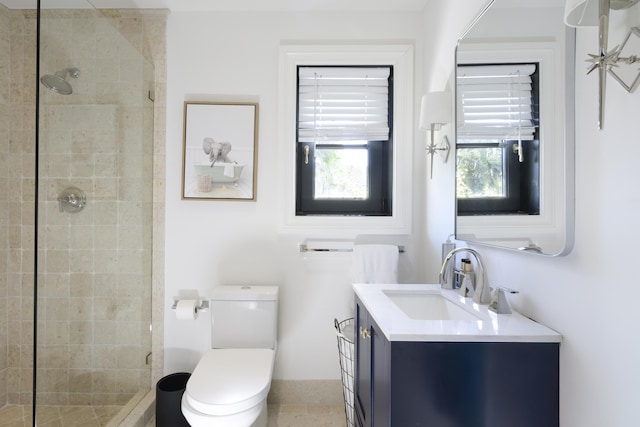 bathroom featuring toilet, a shower stall, and vanity