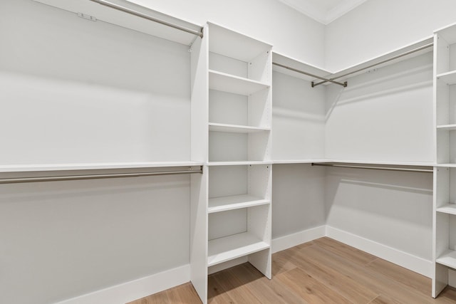 spacious closet featuring light wood-style floors