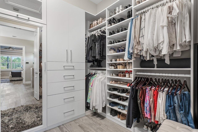 walk in closet with light wood-type flooring