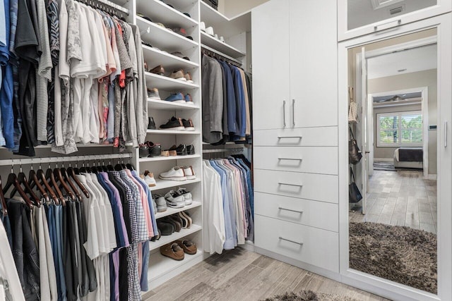 spacious closet featuring light wood-style floors