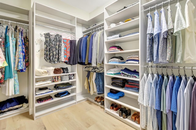 walk in closet featuring wood finished floors