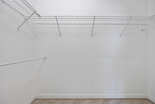 spacious closet featuring light wood-type flooring