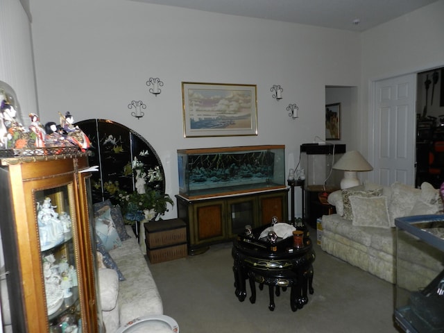 view of carpeted living area