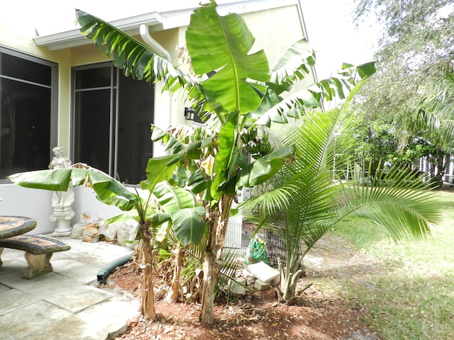 224 NW Pleasant Grove Way, Port Saint Lucie, FL 34986 - view of yard