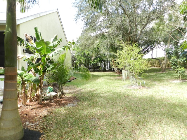 224 NW Pleasant Grove Way, Port Saint Lucie, FL 34986 - view of yard