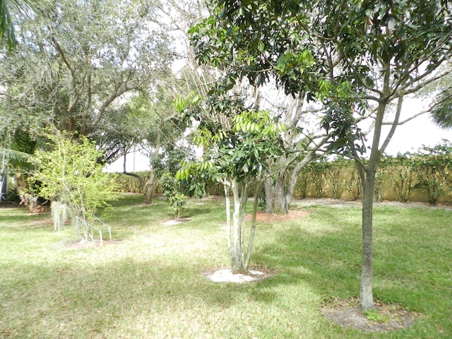 224 NW Pleasant Grove Way, Port Saint Lucie, FL 34986 - view of yard
