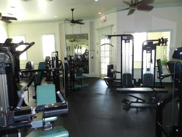 exercise room featuring ceiling fan, plenty of natural light, and ornamental molding