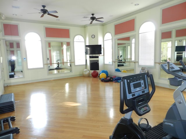 exercise room with a ceiling fan, wood finished floors, baseboards, and ornamental molding