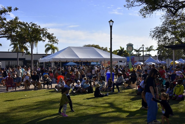 view of community with a yard