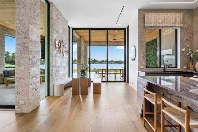 interior space with light wood-style floors, expansive windows, and a sink