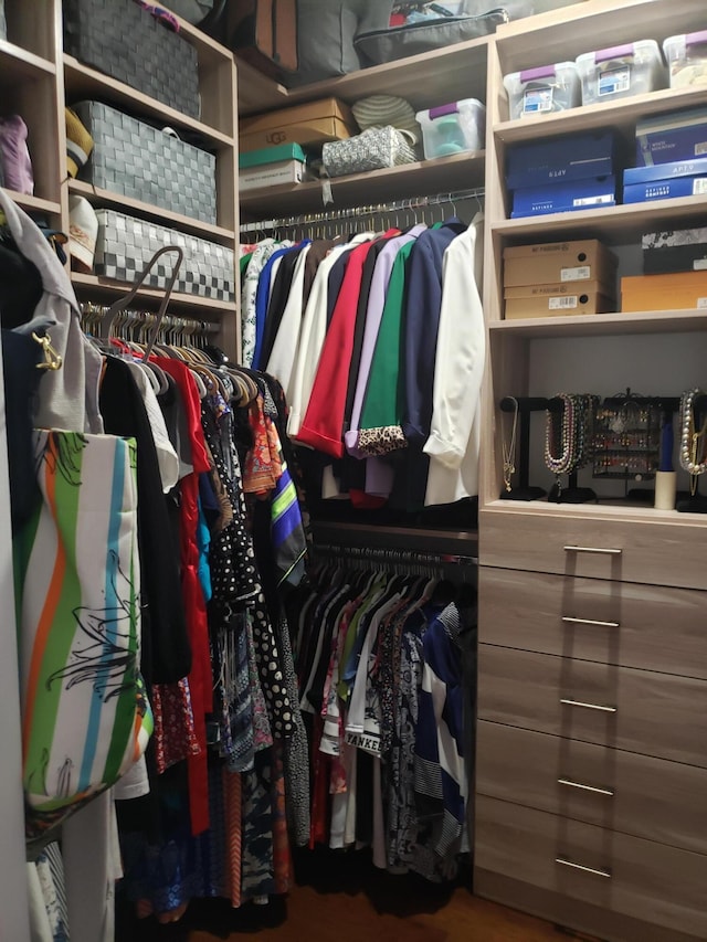 view of spacious closet