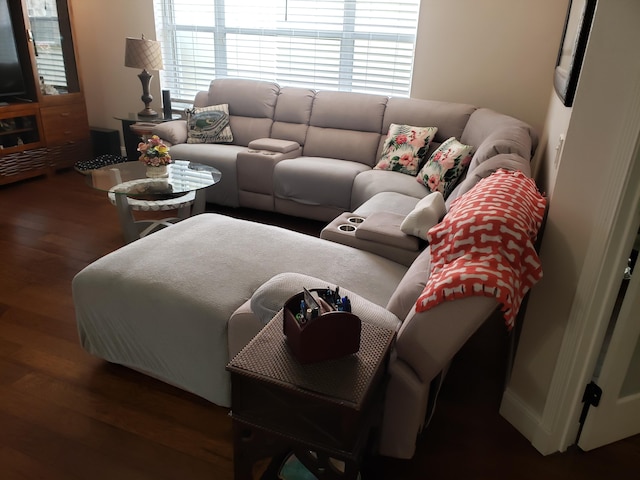 living area featuring dark wood-type flooring