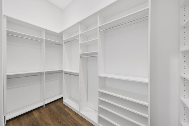 walk in closet featuring dark wood finished floors