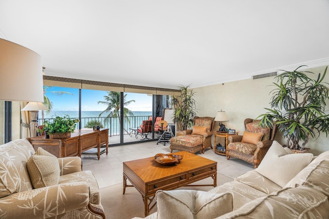 living area featuring a water view and crown molding