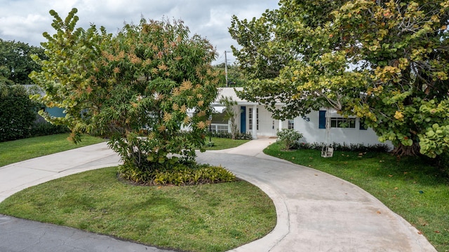 obstructed view of property with a front yard, concrete driveway, and stucco siding