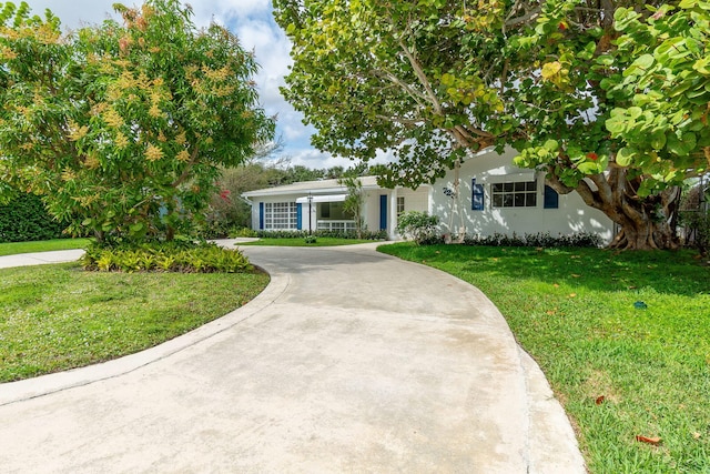 view of front of property featuring driveway, a front lawn, and stucco siding