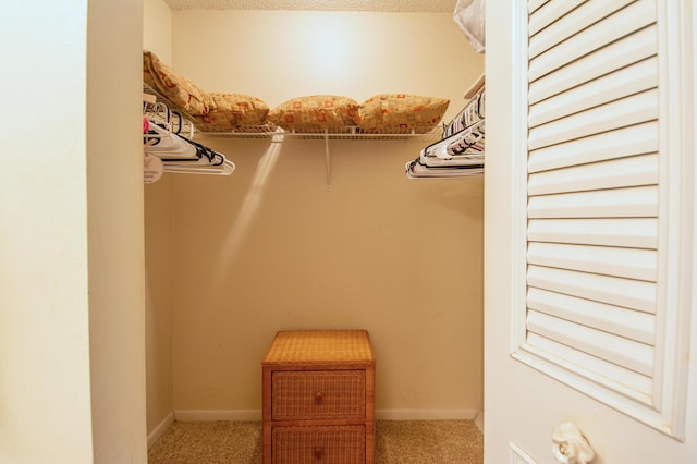 walk in closet featuring light carpet