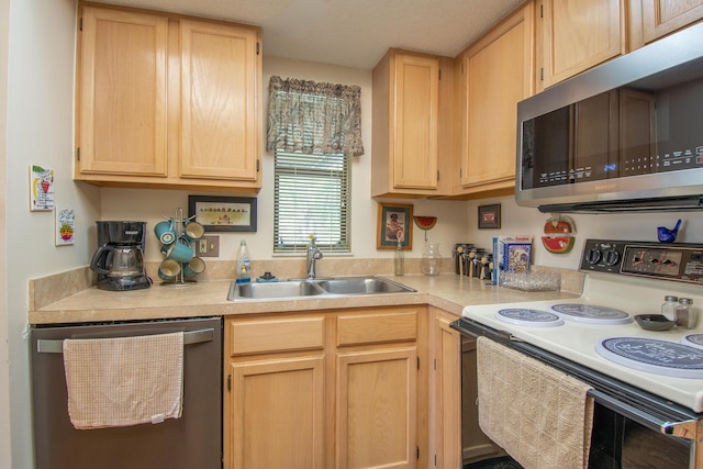 kitchen featuring a sink, stainless steel appliances, light countertops, and light brown cabinetry