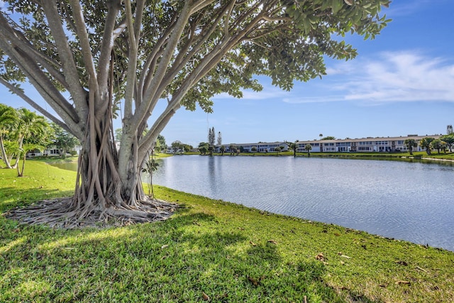 property view of water