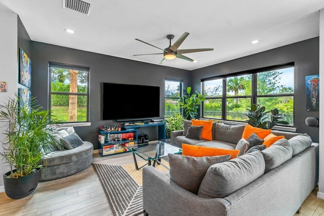 living area with a healthy amount of sunlight, visible vents, ceiling fan, and light wood-style flooring