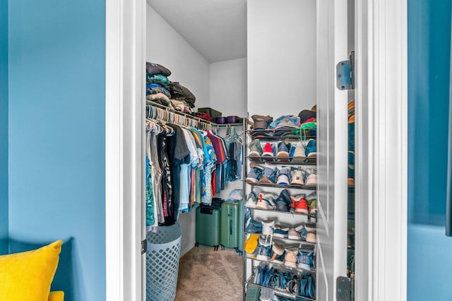 spacious closet featuring carpet