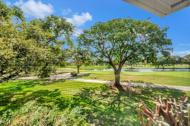 view of yard with a water view