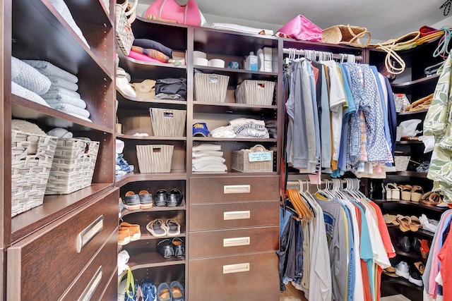 view of spacious closet