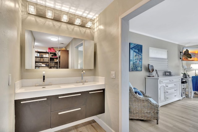 bathroom with wood finished floors, a sink, and baseboards