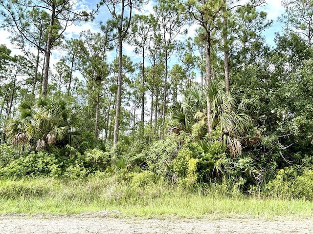 725 Riviera Ave, Clewiston FL, 33440 land for sale