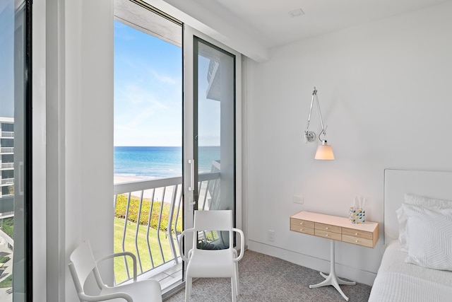 bedroom featuring a water view and carpet