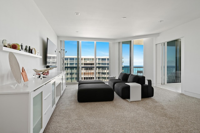 living area with carpet and floor to ceiling windows