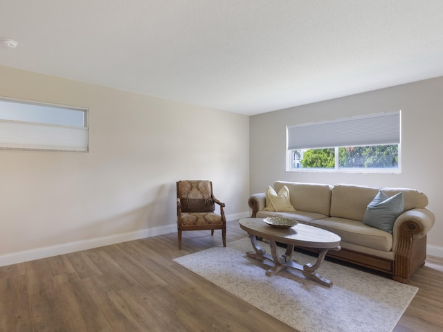 living room featuring baseboards and wood finished floors