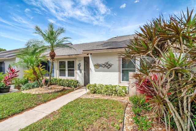 view of front of house featuring a shingled roof, a front lawn, and stucco siding