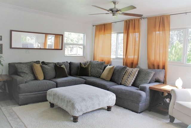 living room featuring ceiling fan and ornamental molding