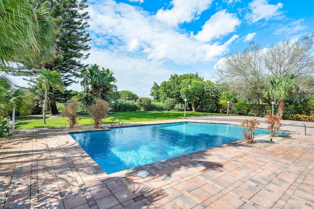 outdoor pool featuring a yard and a patio