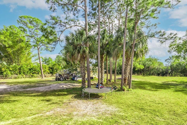 view of property's community featuring a yard and a trampoline