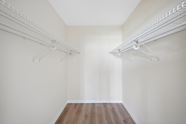 spacious closet with light wood-style floors