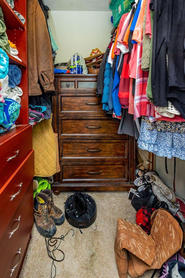 walk in closet with carpet floors