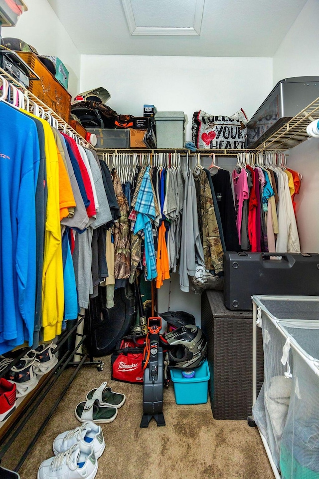 spacious closet featuring carpet and attic access