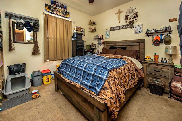 bedroom with light carpet